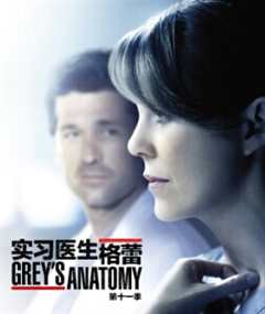实习医生格蕾第11季