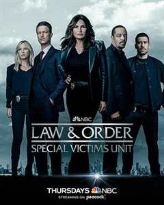 法律与秩序：特殊受害者第二十四季