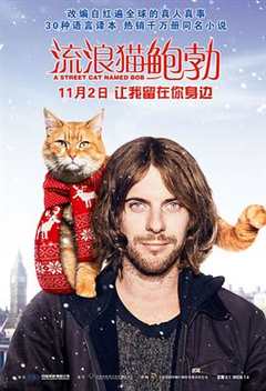 流浪汉捡到了一只胖猫，因此而改变了自己的一生#流浪猫鲍勃