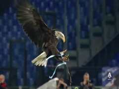 5月8日 22-23赛季意甲第34轮 那不勒斯VS佛罗伦萨