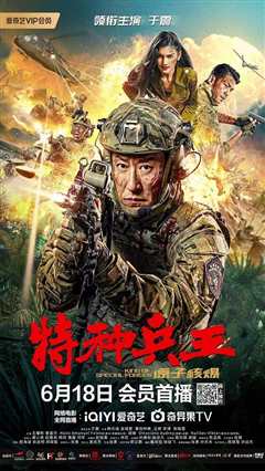 特种兵王之原子核爆