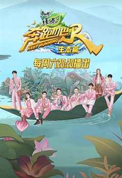 2023-11-11 英超联赛 水晶宫VS埃弗顿