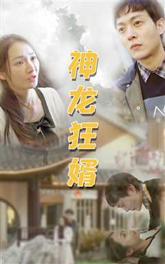 我的傻白甜媳妇（神龙狂婿）