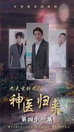 九天玄针之神医归来