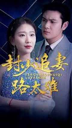 封少追妻路太难