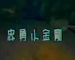 忠勇小金刚