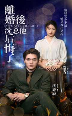 离婚后，沈总他后悔了