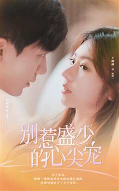 别惹盛少的心尖宠