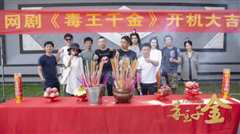 毒王千金