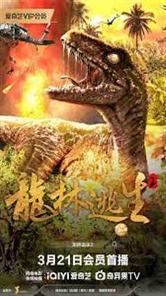 《龙林逃生2》