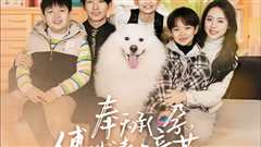 奉天承孕：傅少请接芷（奉天承孕傅少请接芷）