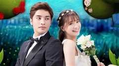 灰姑娘的恋爱契约