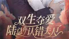 双生夺爱陆总你认错夫人了