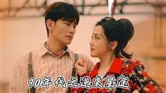 九零年代之逆袭星途