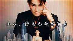 夫人，陆总已死请节哀