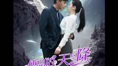 傅总的天降太子妃