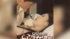 女总裁的上门龙婿
