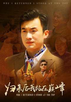 归来后我站在巅峰