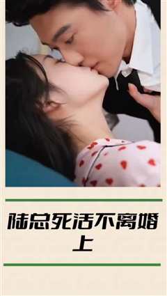 陆总死活不离婚