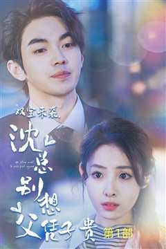 双宝来袭沈总别想父凭子贵（报告妈咪便宜爹地竟是总裁）