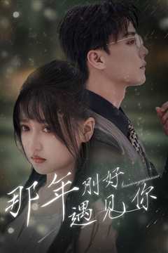那年刚好遇见你（那年遇见你）