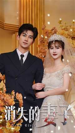 新：消失的妻子