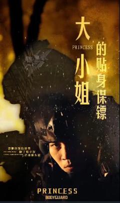 大小姐的贴身保镖（天命打工人）