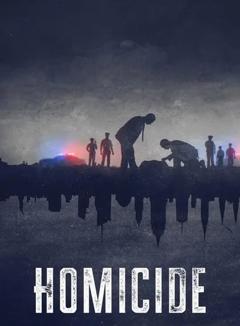 凶杀重案实录 纽约 第二季