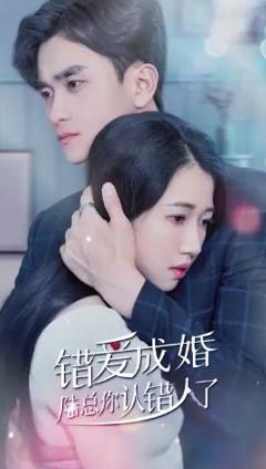 错爱成婚：陆总你认错人了