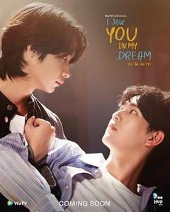 我在梦里见过你