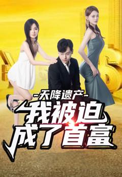 天降遗产，我被迫成了首富