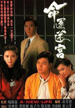 命运迷宫普通话版