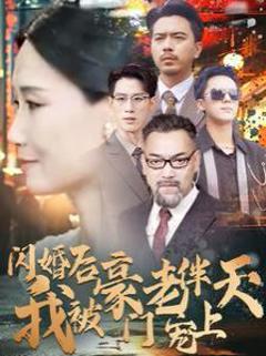 闪婚后我被豪门老伴宠上天