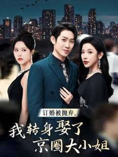 订婚被抛弃，我转身取了京圈大小姐