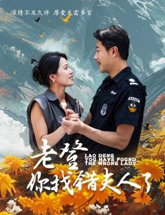 老登你找错夫人了