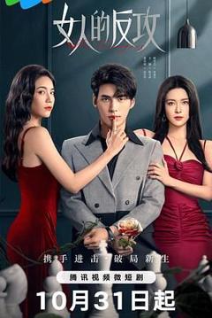 女人的反攻
