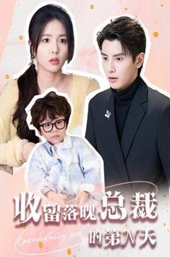 收留落魄总裁的第N天