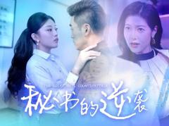 秘书的逆袭
