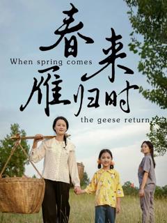 春来雁归时