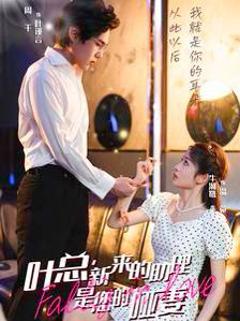 叶总新来的助理是您的哑妻