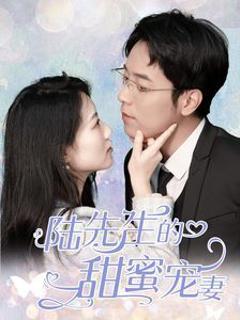 陆先生的甜蜜宠妻