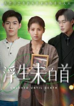 《浮生未白首》