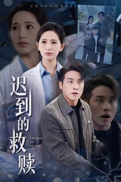 《迟到的救赎》