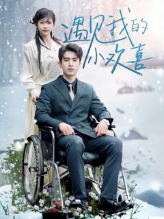 《遇见我的小欢喜》