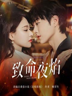 《致命夜焰》