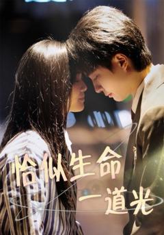 《恰似生命一道光》