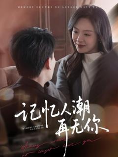 《记忆人潮再无你》