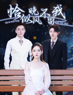 恰似晚风不留我（弃他如风）