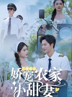 《王牌机长娇宠农家小甜妻》