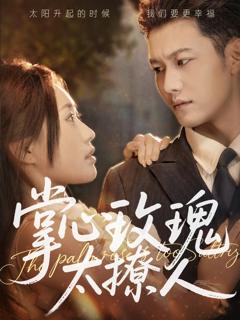 《掌心玫瑰太撩人》